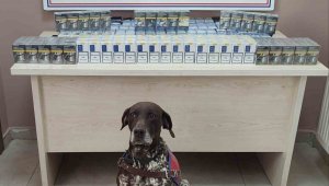 Kayseri'de kaçak sigara operasyonu