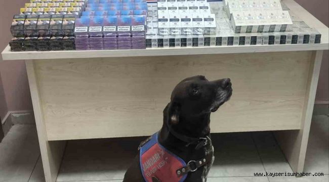 Tırdan 560 paket kaçak sigara ele geçirildi: 1 gözaltı