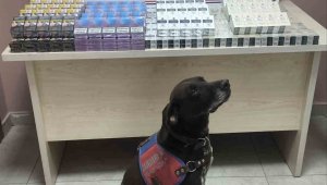 Tırdan 560 paket kaçak sigara ele geçirildi: 1 gözaltı