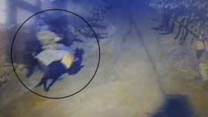 Atla geldi, yaşlı çifti öldürüp kaçtı