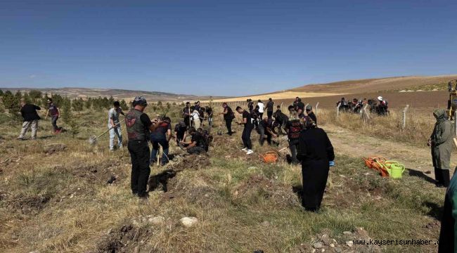 Büyükşehir, Sarımsaklı'da bin 500 fidanı toprakla buluşturdu
