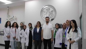 ERÜ'de hedef kanser hücreleri