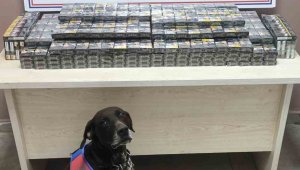 Kimlik kontrolü için durdurulan 2 tırdan 560 paket kaçak sigara ele geçirildi