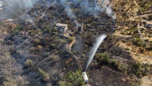 Patlıcan közlerken ormanı yakan şahıs yakalandı: 1 gözaltı