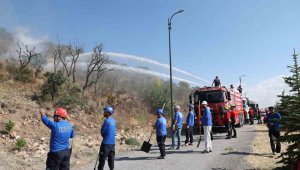 Talas Belediyesi'nden Ali Dağı'na "alev kalkanı"