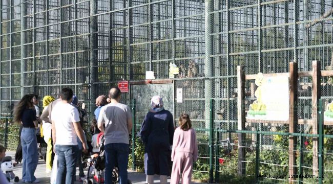 Ücretsiz olan hayvanat bahçesine ziyaretçi akını