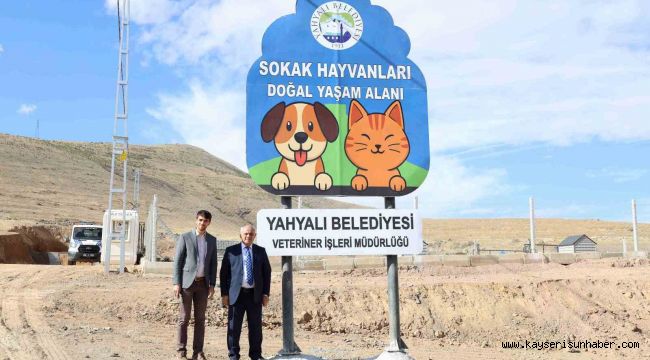 Yahyalı Belediyesi sokak hayvanlarına modern yaşam alanı kazandırdı