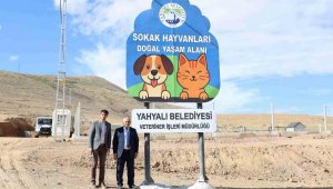 Yahyalı Belediyesi sokak hayvanlarına modern yaşam alanı kazandırdı