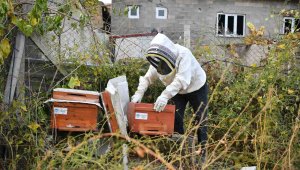 'Kovan sizden arı bizden' projesine teşekkür