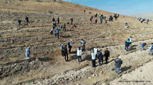 'Şahidimiz Toprak, İmzamız Fidan, Sevdamız Yeşil Vatan' Yahyalı'da hayat buldu