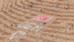 Başkan Büyükkılıç'tan yeşil vatan sevdasıyla geleceğe nefes: 35 bin fidan dikildi