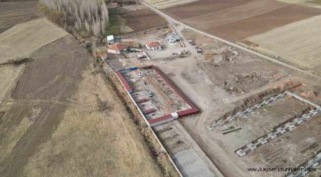 Başkan Metin'den sokak hayvanları için örnek hizmet