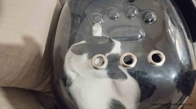 Havalandırma boşluğuna düşen kediyi itfaiye kurtardı