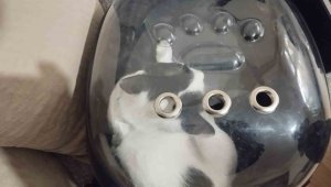 Havalandırma boşluğuna düşen kediyi itfaiye kurtardı