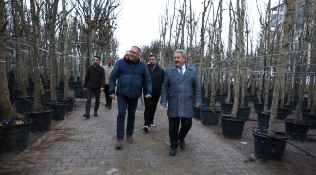 Melikgazi Belediyesi, Yeni Ağaçlarla İlçenin Geleceğine Nefes Olmaya Devam Ediyor