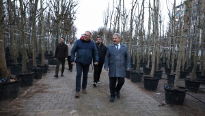 Melikgazi Belediyesi, Yeni Ağaçlarla İlçenin Geleceğine Nefes Olmaya Devam Ediyor