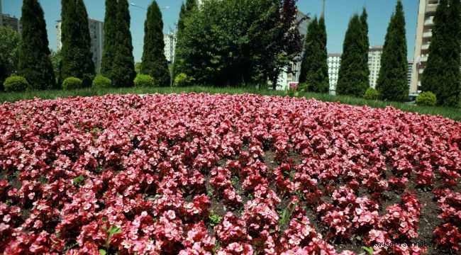 Talas 2026'da rengarenk olacak