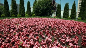 Talas 2026'da rengarenk olacak