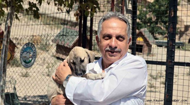 Talas Patievi Doğal Yaşam Alanı 500 can için seçkin bir yuva