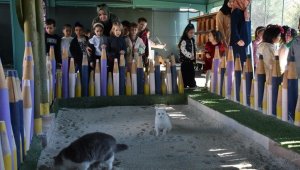 Türkiye'de ilk olan 'Küçük Dostlar Ambulansı' ile 10 bin 280 can kurtarıldı