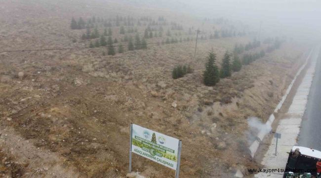 Yahyalı'ya bin 200 fidan dikildi