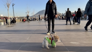 BÜYÜKŞEHİR’İN VİZYON PROJESİ MİLLET BAHÇESİ, KAYSERİLİLERİN BULUŞMA NOKTASI OLDU