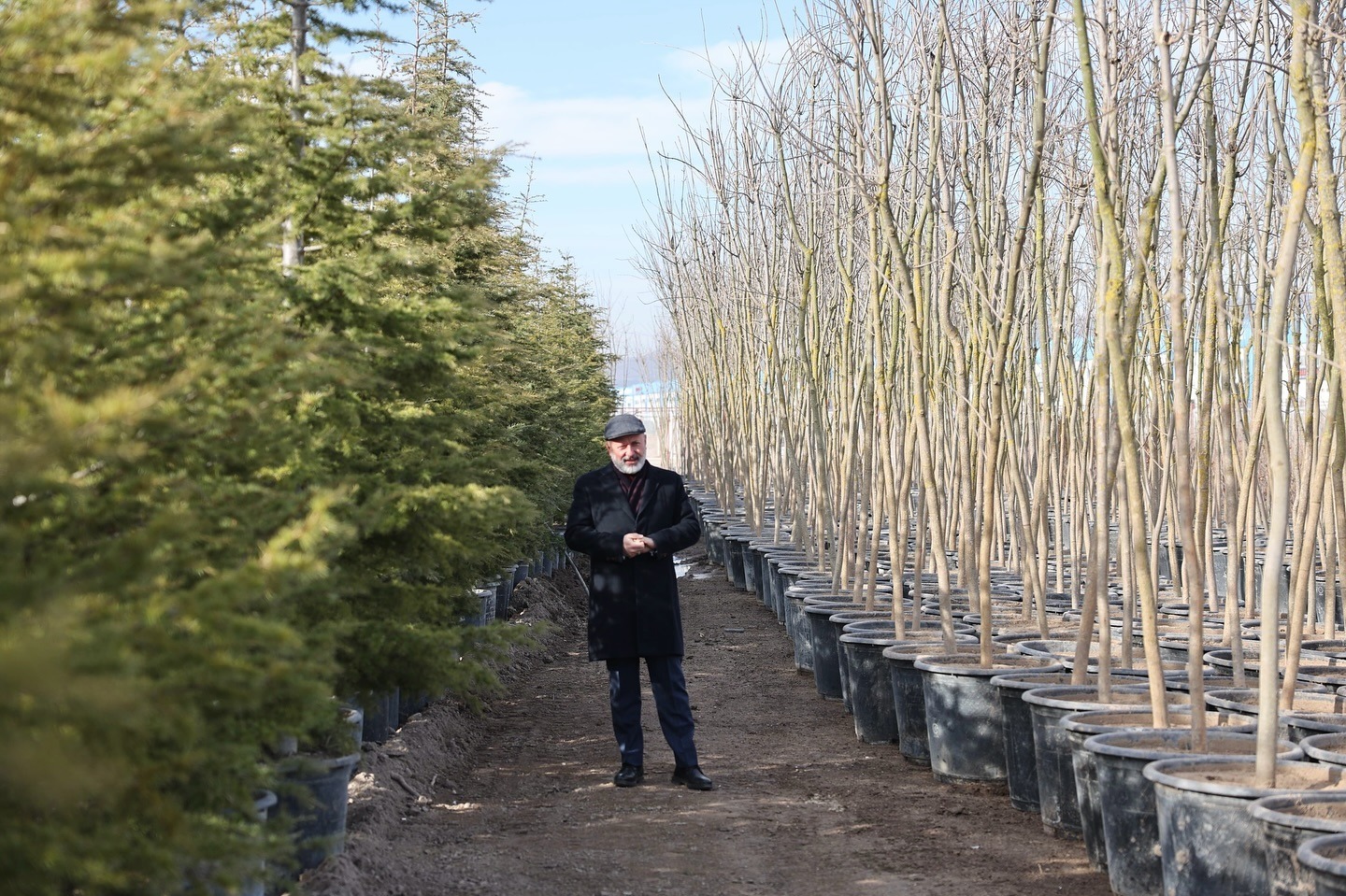 Türkiye’nin En Büyük Üretim ve Lojistik Üssü Fidanlığı Kocasinan’da
