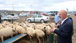 Kayseri’de Tek, Türkiye’ye Örnek Olan Profesyonel Hizmette İhale Süreci
